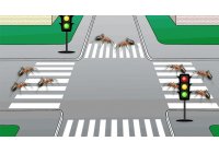 Стоят ли муравьи в пробках? Стоят ли муравьи в пробках?