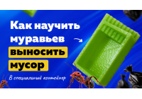Дрессированные мураши: как научить муравьев убирать за собой Дрессированные мураши: как научить муравьев убирать за собой
