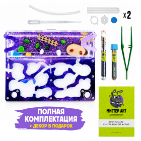 Муравьиная ферма Медиум "Космос" (ПОЛНЫЙ КОМПЛЕКТ) Муравьиная ферма Медиум "Космос" (ПОЛНЫЙ КОМПЛЕКТ)