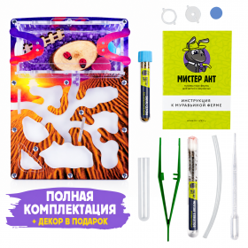 Муравьиная ферма Мини "Закат в пустыне" (ПОЛНЫЙ КОМПЛЕКТ)