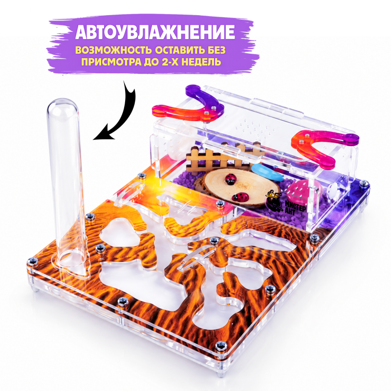 Муравьиная ферма Мини "Закат в пустыне" (ПОЛНЫЙ КОМПЛЕКТ) Муравьиная ферма Мини "Закат в пустыне" (ПОЛНЫЙ КОМПЛЕКТ)